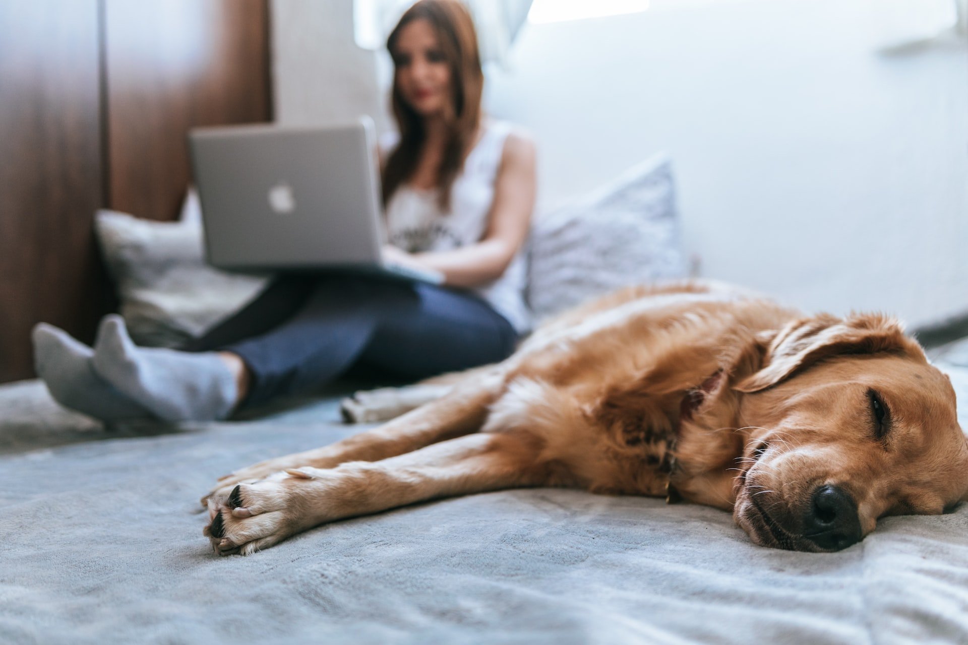 A woman sitting on a bed, using a laptop, with a dog sleeping beside her.